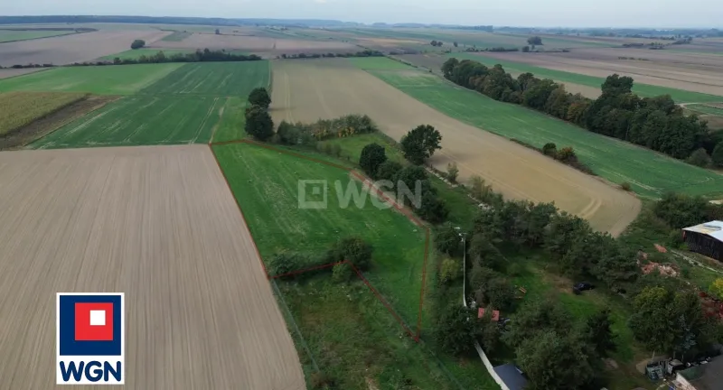 Grunt budowlany jednorodzinny na  sprzedaż Gołaszyn - Gołaszyn, gm Nowe Miasteczko, działka 6200 m2 z warunkami zabudowy na 3 domy.